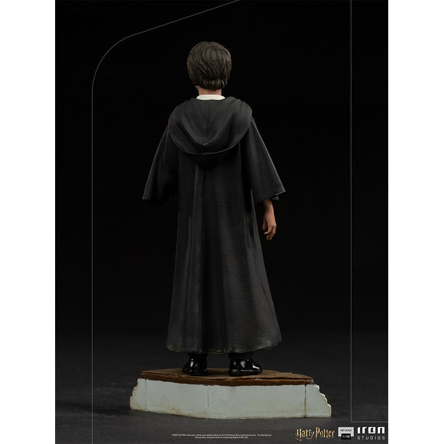 Harry Potter 1/10 Scale Figure