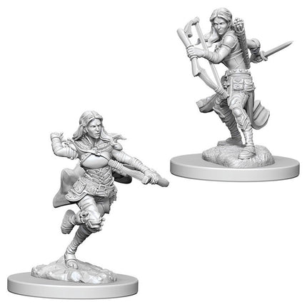 Dungeons & Dragons Nolzur's Marvelous Miniatures Air Genasi Female Rogue