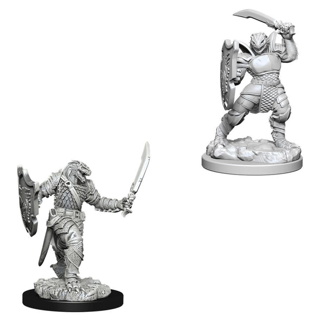 Dungeons & Dragons Nolzur's Marvelous Miniatures Dragonborn Female Paladin