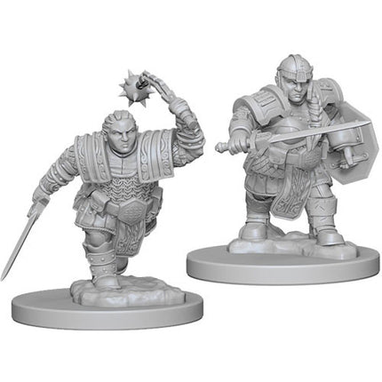 Dungeons & Dragons Nolzur's Marvelous Miniatures Dwarf Female Fighter