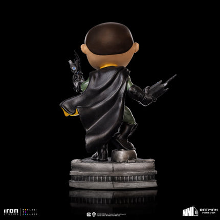 Batman Forever Robin MiniCo Figure