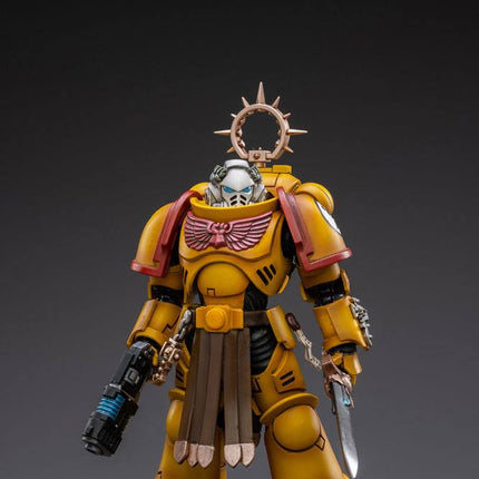 Warhammer 40K Imperial Fists Veteran Brother Thracius