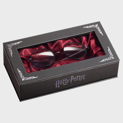 Harry Potter’s Glasses
